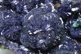 Sparkling Azurite and Malachite Crystal Association - China #215840-4